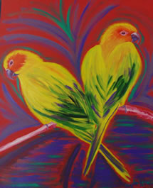 Casal de jandaias