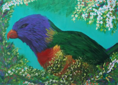 Rainbow-Lorikeet