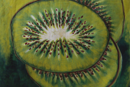 Kiwi no fundo verde de Angela Lemos